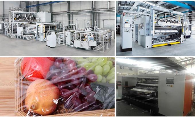 PVC PVDC Cling Cast Film Extrusion Line 250kg H Food Packaging 1