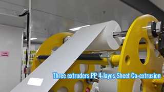 4 layers High Efficiency PP Thermoforming Sheet Extrusion Line
