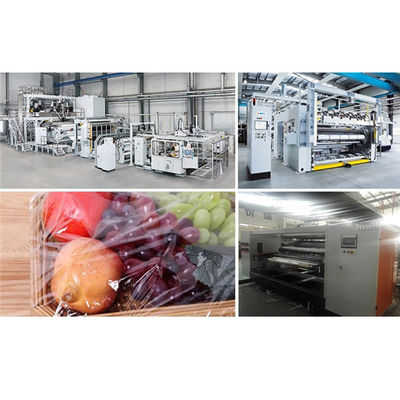 PVC PVDC Cling Cast Film Extrusion Line 250kg H Food Packaging